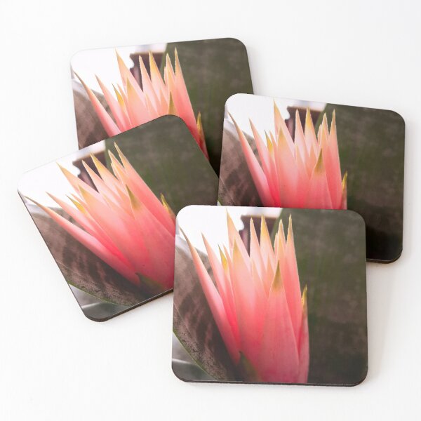 Item preview, Succulent Pink Flower designed and sold by GillianTapping.