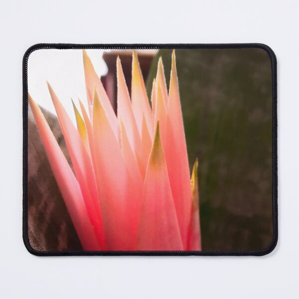 Item preview, Succulent Pink Flower designed and sold by GillianTapping.