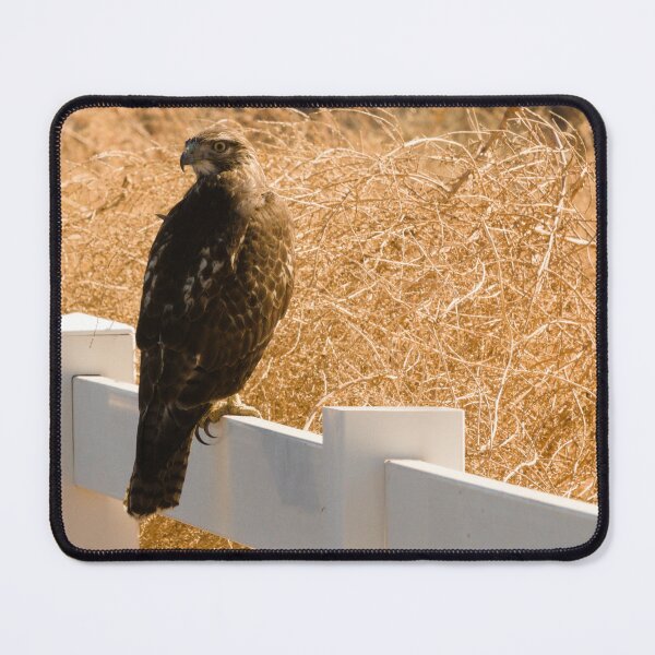 Item preview, 608 - Red Tailed Hawk designed and sold by ptosis.