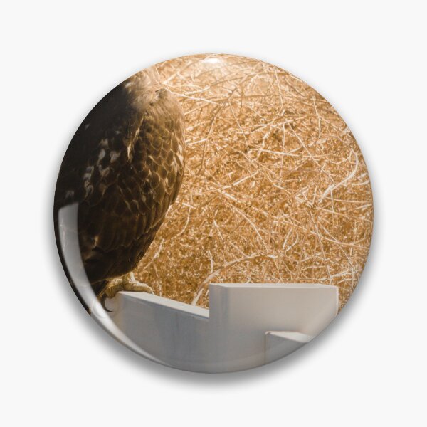 Item preview, 608 - Red Tailed Hawk designed and sold by ptosis.
