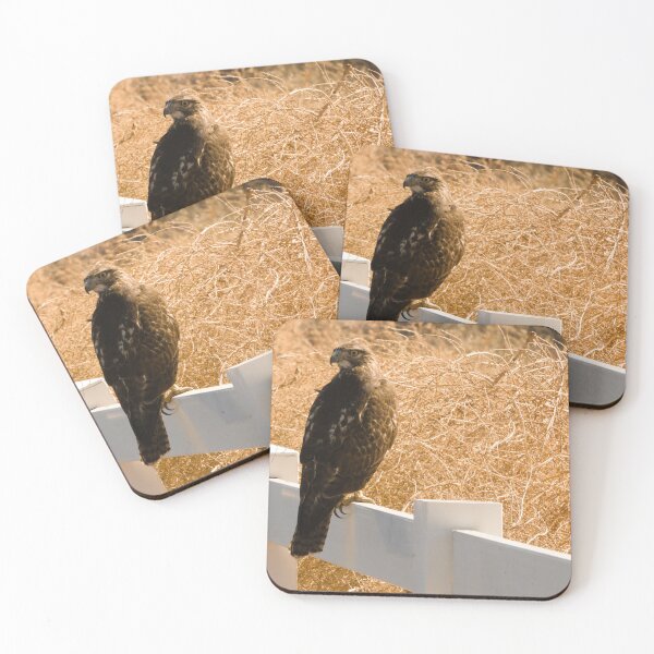 Item preview, 608 - Red Tailed Hawk designed and sold by ptosis.