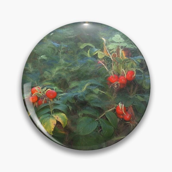 Item preview, Rugosa Rose Hips designed and sold by Wayne King.