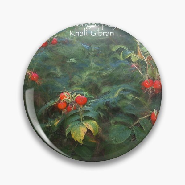Item preview, Rugosa Rose Hips Gibran Fine Art Poster designed and sold by Wayne King.