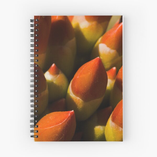 Item preview, 611 - Ocotillo Little Torch Macro designed and sold by ptosis.