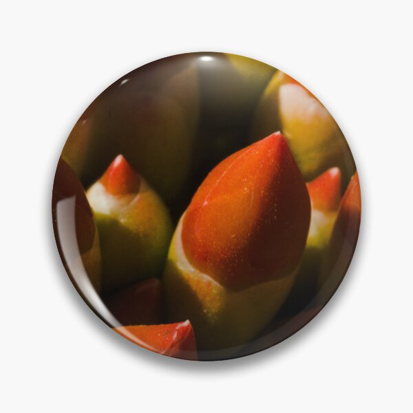 Item preview, 611 - Ocotillo Little Torch Macro designed and sold by ptosis.
