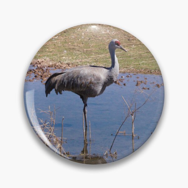 Item preview, 612 - Sandhill Cranes designed and sold by ptosis.