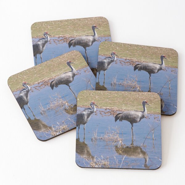 Item preview, 612 - Sandhill Cranes designed and sold by ptosis.