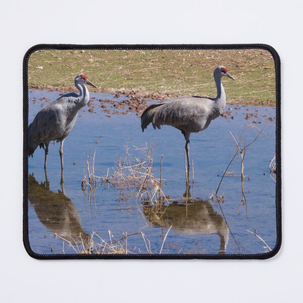 Item preview, 612 - Sandhill Cranes designed and sold by ptosis.