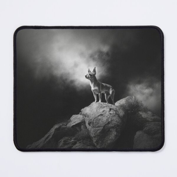 Item preview, A Chihuahua standing bravely on a large boulder, Dogs in Motion designed and sold by CDC40.