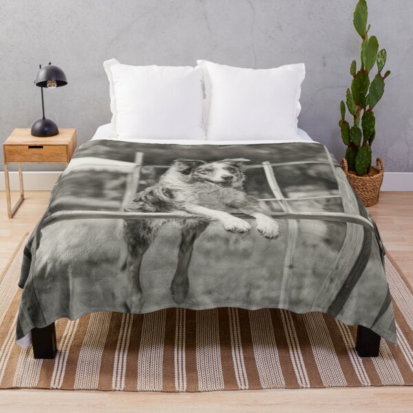 Item preview, A lively Australian Shepherd dog weaving through an agility course, Dogs in Motion designed and sold by CDC40.