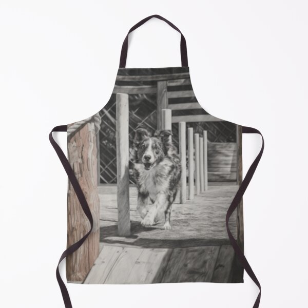 Item preview, A lively Australian Shepherd dog weaving through an agility course, Dogs in Motion designed and sold by CDC40.