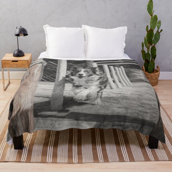 Item preview, A lively Australian Shepherd dog weaving through an agility course, Dogs in Motion designed and sold by CDC40.