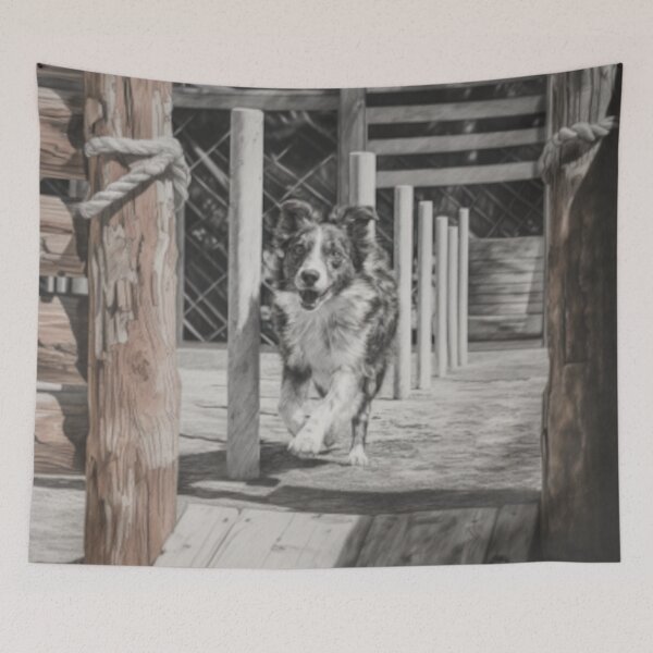 Item preview, A lively Australian Shepherd dog weaving through an agility course, Dogs in Motion designed and sold by CDC40.
