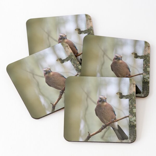 Item preview, Early winter jay.  Eurasian jay designed and sold by Jouko Lehto Photography.