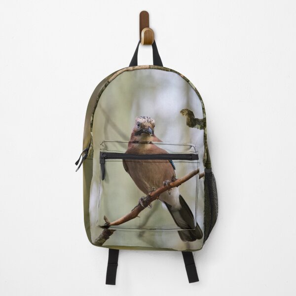 Item preview, Early winter jay.  Eurasian jay designed and sold by Jouko Lehto Photography.