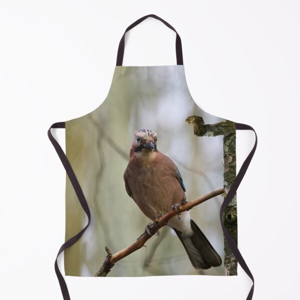 Item preview, Early winter jay. Eurasian jay designed and sold by Jouko Lehto Photography.