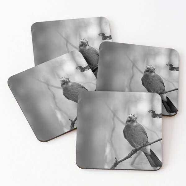 Item preview, Early winter jay. Eurasian jay bw designed and sold by Jouko Lehto Photography.