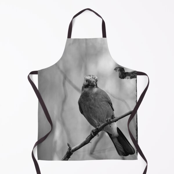 Item preview, Early winter jay. Eurasian jay bw designed and sold by Jouko Lehto Photography.