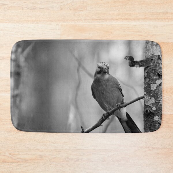 Item preview, Early winter jay. Eurasian jay bw designed and sold by Jouko Lehto Photography.