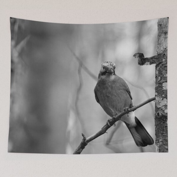 Item preview, Early winter jay. Eurasian jay bw designed and sold by Jouko Lehto Photography.