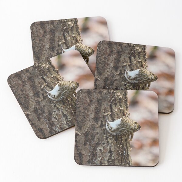 Item preview, Anything under here. Eurasian treecreeper designed and sold by Jouko Lehto Photography.
