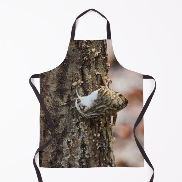 Item preview, Anything under here. Eurasian treecreeper designed and sold by Jouko Lehto Photography.