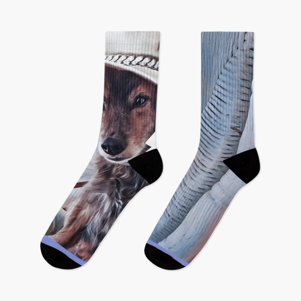 Item preview, Dog wearing cowboy hat designed and sold by J+J Photography.