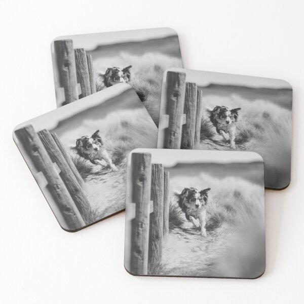 Item preview, A lively Australian Shepherd dog weaving through an agility course, Dogs in Motion designed and sold by CDC40.