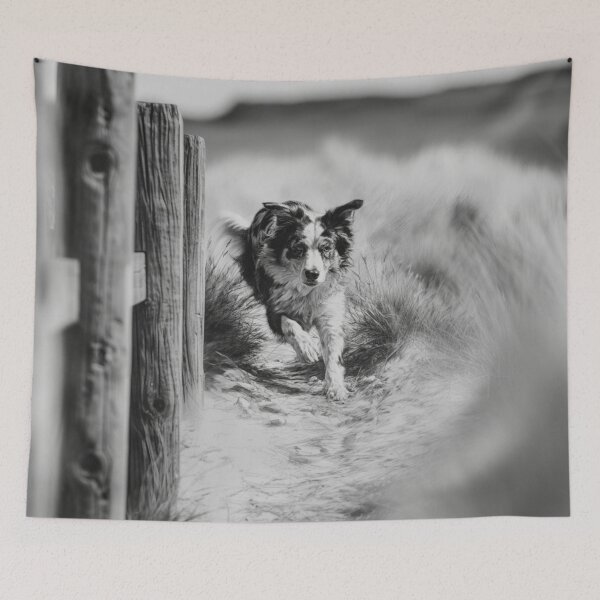 Item preview, A lively Australian Shepherd dog weaving through an agility course, Dogs in Motion designed and sold by CDC40.
