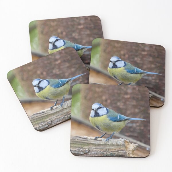 Item preview, Who me. Eurasian blue tit designed and sold by Jouko Lehto Photography.