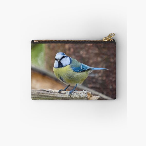 Item preview, Who me. Eurasian blue tit designed and sold by Jouko Lehto Photography.