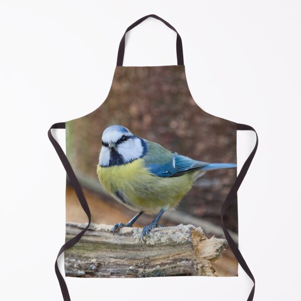 Item preview, Who me. Eurasian blue tit designed and sold by Jouko Lehto Photography.