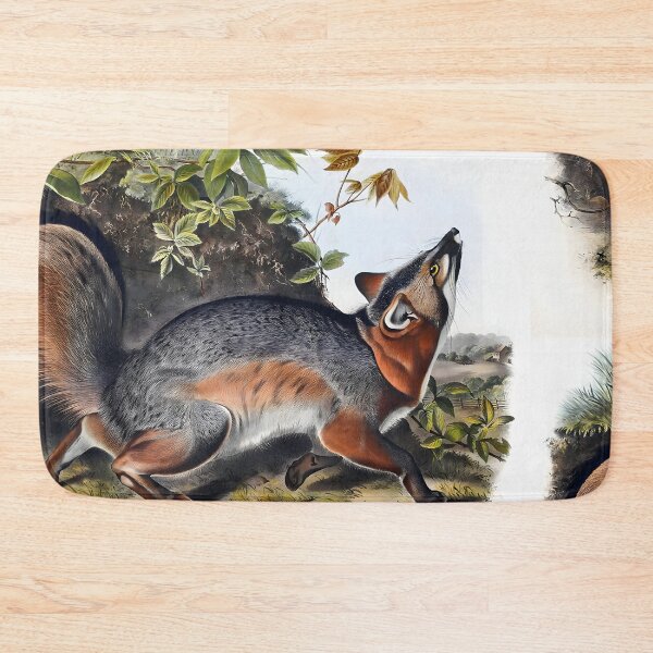 Item preview, Grey Fox - John James Audubon  designed and sold by Jon-Baran.