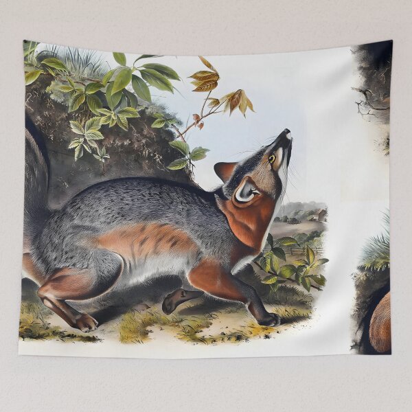 Item preview, Grey Fox - John James Audubon  designed and sold by Jon-Baran.