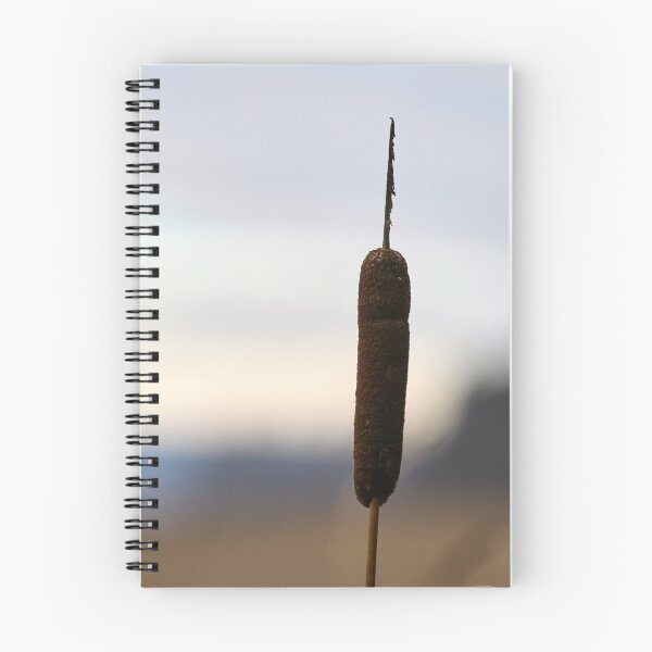 Item preview, Late fall colours. Broadleaf cattail designed and sold by Jouko Lehto Photography.