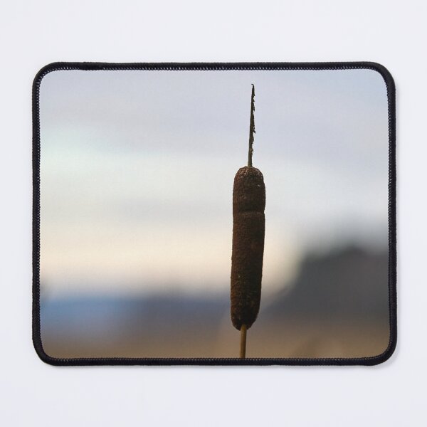 Item preview, Late fall colours. Broadleaf cattail designed and sold by Jouko Lehto Photography.