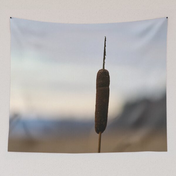 Item preview, Late fall colours. Broadleaf cattail designed and sold by Jouko Lehto Photography.