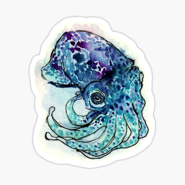 Bobtail Squid (watercolour) Sticker