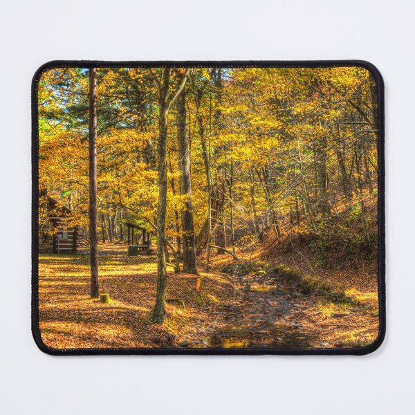 Item preview, Golden Walks in Lost River State Park designed and sold by Viv Thompson Photography .
