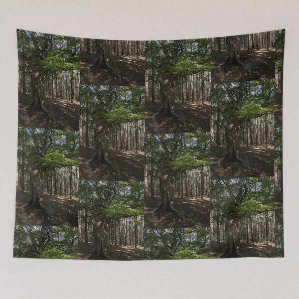Item preview, Trail Guardian - an Ancient Beech Tree in a Pine Forest designed and sold by Georgia Mizuleva.
