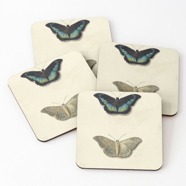 Item preview, Boven- en onderaanzicht van een vlinder by Georgius Jacobus Johannes van Os designed and sold by AngyDesigns49.