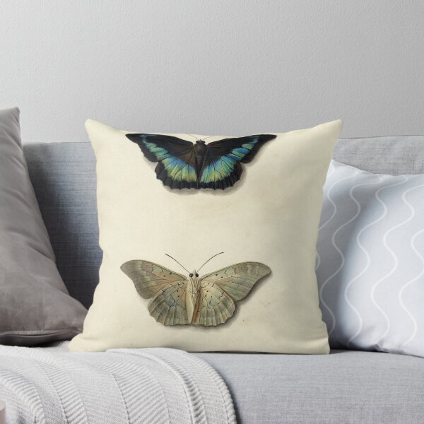 Item preview, Boven- en onderaanzicht van een vlinder by Georgius Jacobus Johannes van Os designed and sold by AngyDesigns49.