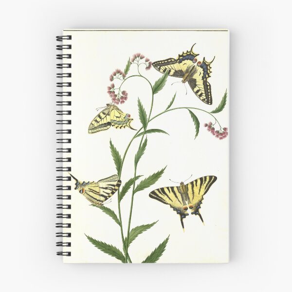 Item preview, Four Butterflies on Flowers by  Paulus Knogh designed and sold by AngyDesigns49.