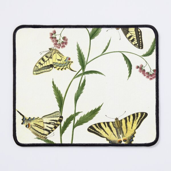 Item preview, Four Butterflies on Flowers by  Paulus Knogh designed and sold by AngyDesigns49.