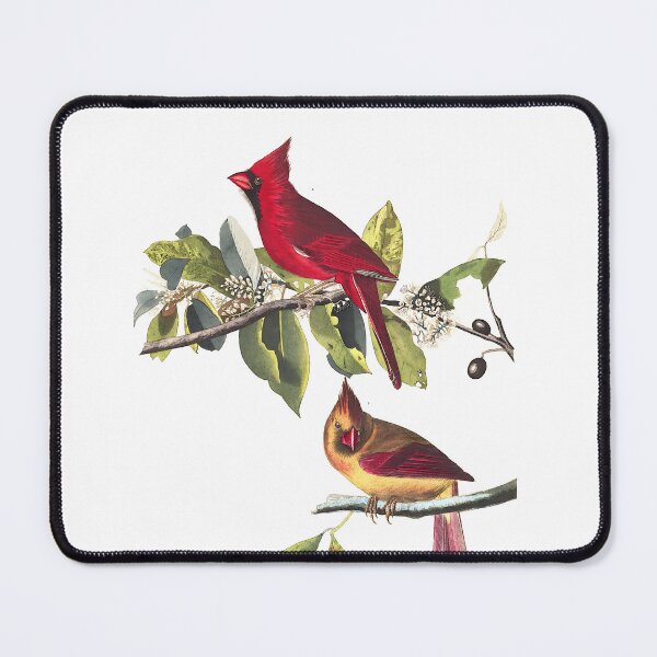 Item preview, Grosbeak Cardinals - John James Audubon designed and sold by Jon-Baran.