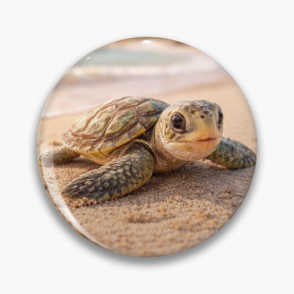 Artikelvorschau, Baby-Meeresschildkröte am Sandstrand – Ruhige Meeresnaturfotografie entworfen und verkauft von CzipipitoStudio.