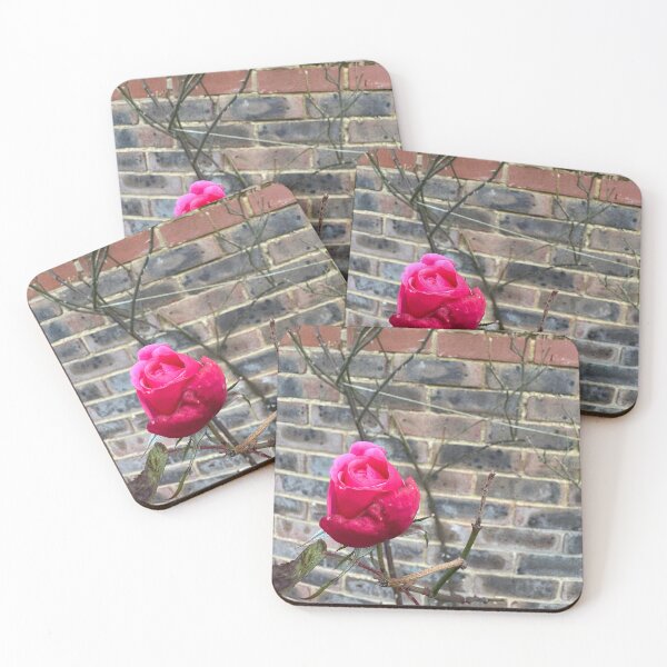 Item preview, “Pink Rose on Brick Wall” designed and sold by Valen-tines.