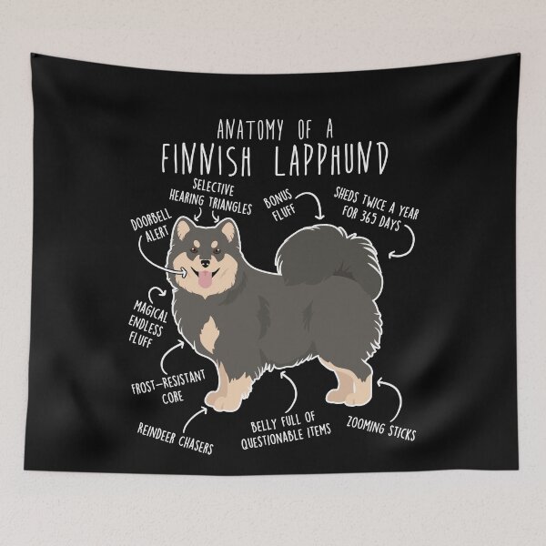 Item preview, Blue Finnish Lapphund Dog Anatomy designed and sold by Clara Hollins.