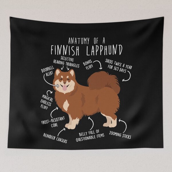 Item preview, Brown Finnish Lapphund Dog Anatomy designed and sold by Clara Hollins.