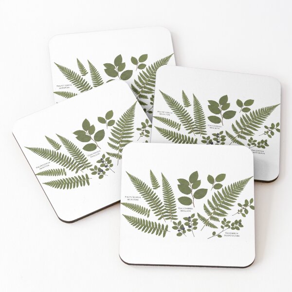 Item preview, Botanical Fern & Leaf Scan Art | Herbarium Plants designed and sold by PacificNWGearCo.